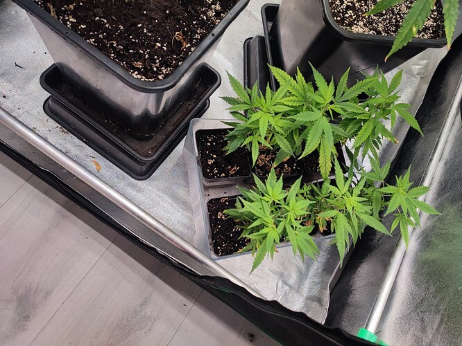 Growreport Bild 15