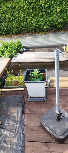 Growreport Bild 31