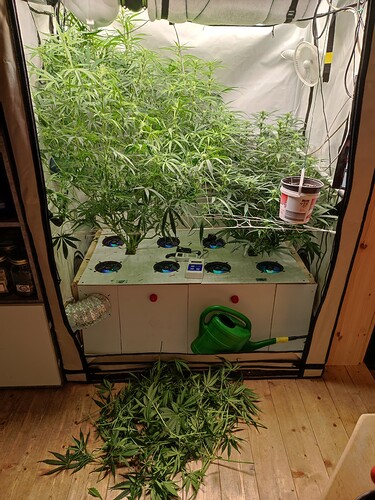 Growreport Bild 21