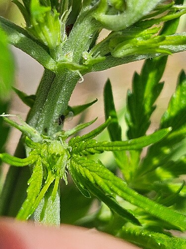 Growreport Bild 14