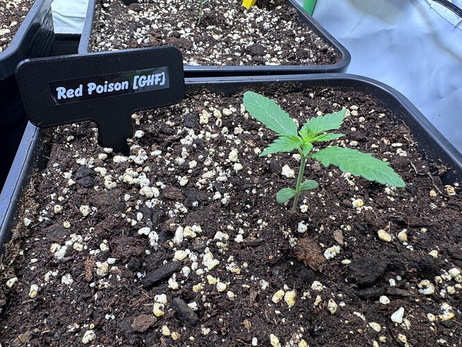 Growreport Bild 18