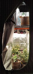 IMG_20240331_165139