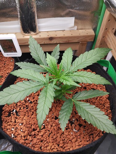 Growreport Bild 10