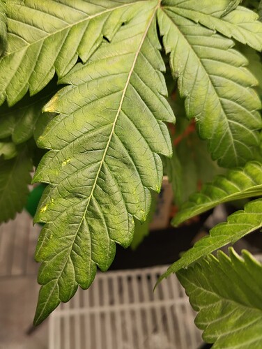Growreport Bild 14