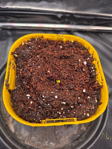 Growreport Bild 9