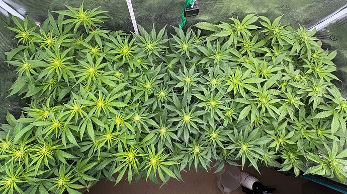 Foto 31.12.25, 06 31 15