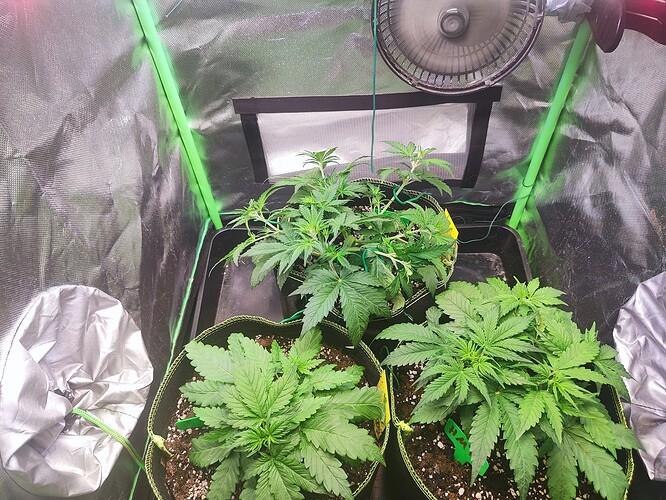 Growreport Bild 3