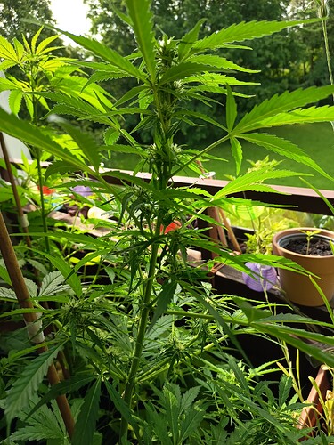 Growreport Bild 18
