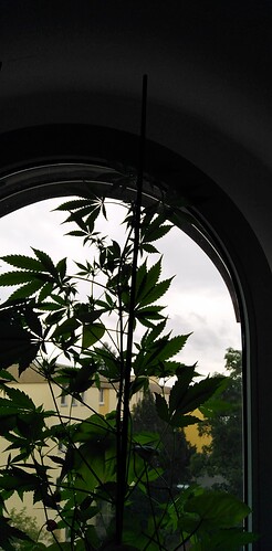 Growreport Bild 1