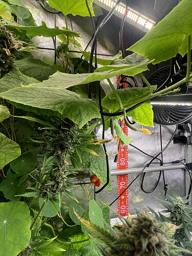 Growreport Bild 3