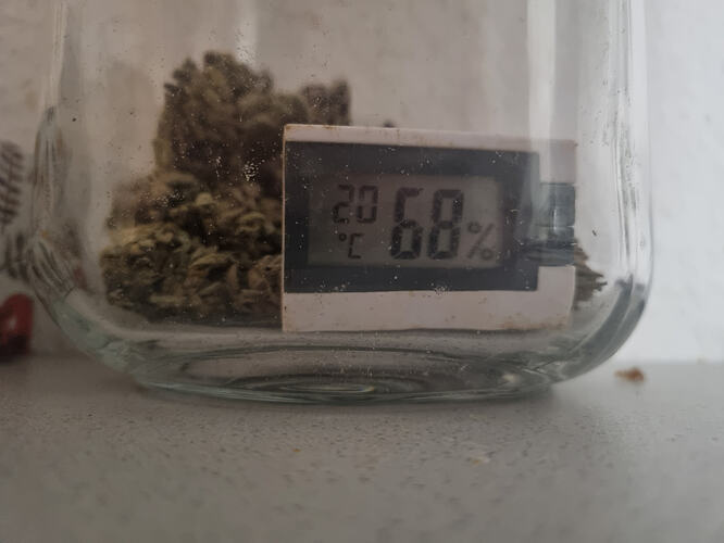 Ein Glasbehälter mit Cannabis-Buds und einem digitalen Hygrometer, das 20°C und 68% Luftfeuchtigkeit anzeigt.