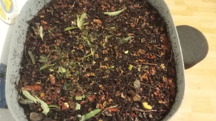 Growreport Bild 16