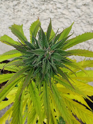 Growreport Bild 18