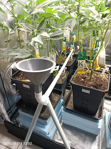 Growreport Bild 33