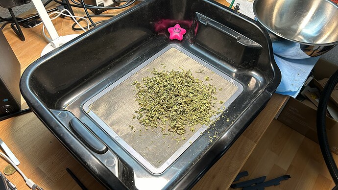 Growreport Bild 11