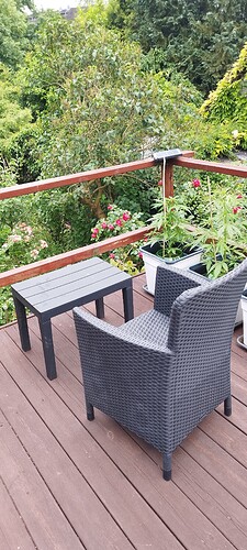 Growreport Bild 35