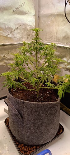 Growreport Bild 5