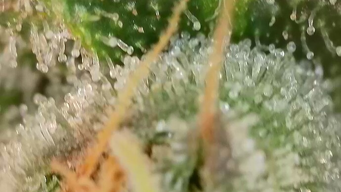 Growreport Bild 14