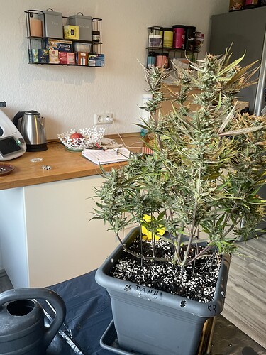 Growreport Bild 11
