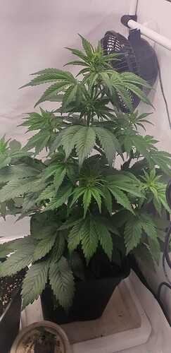 WhatsApp Image 2024-05-19 at 12.14.37