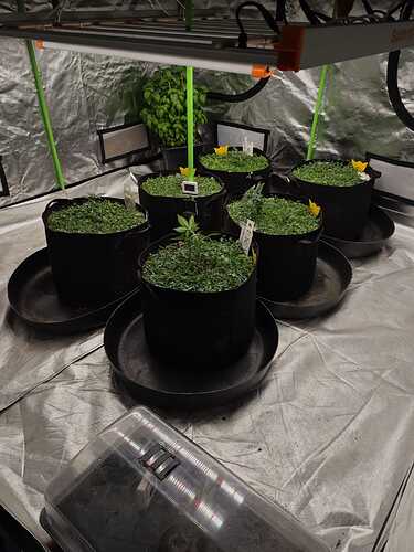Growreport Bild 14