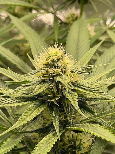 Growreport Bild 24