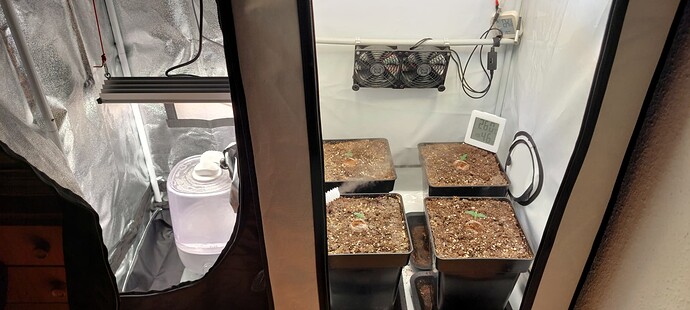 Growreport Bild 1
