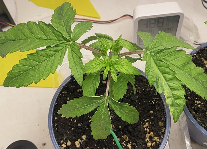 Growreport Bild 23