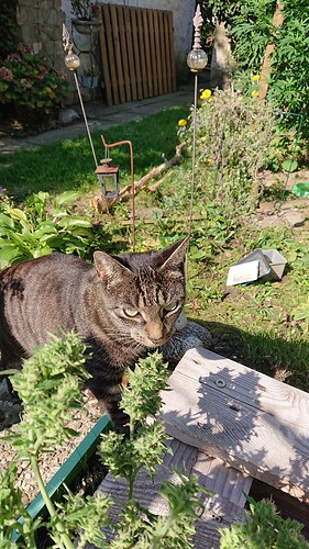 Growreport Bild 6