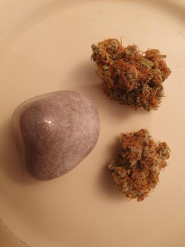 Growreport Bild 38