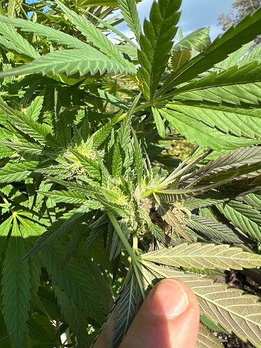 Growreport Bild 22