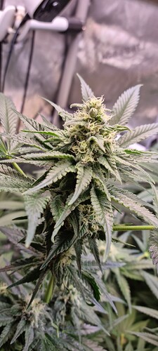 Growreport Bild 23