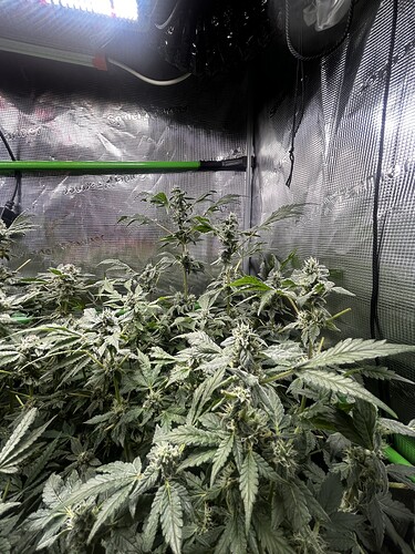 Growreport Bild 53