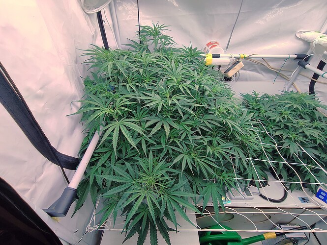 Growreport Bild 5