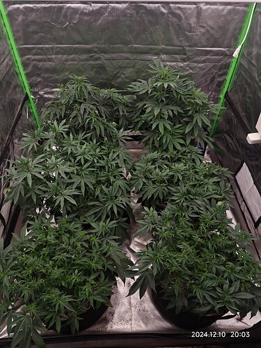 Growreport Bild 3