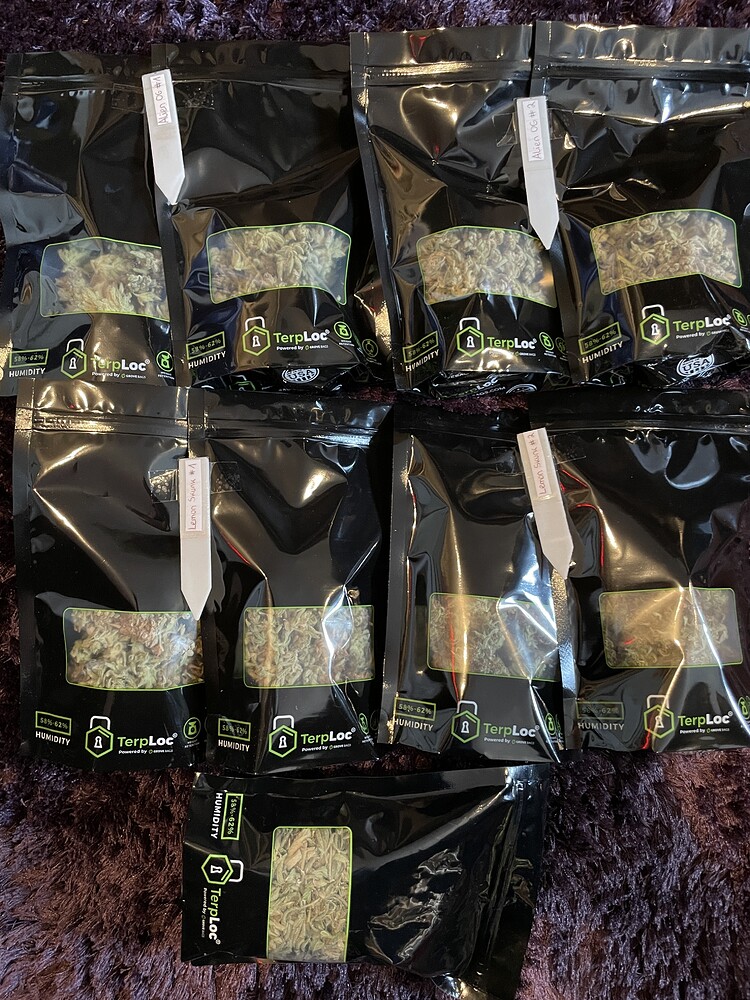 [BEENDET] Grow #3 (Indoor): Alien OG & Lemon Skunk / Royal Queen Seeds