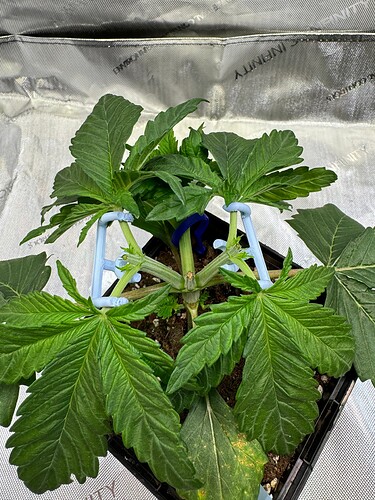 Growreport Bild 23
