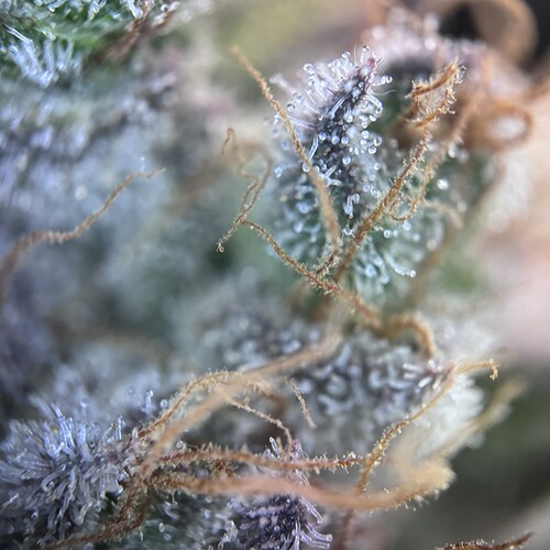 Growreport Bild 12