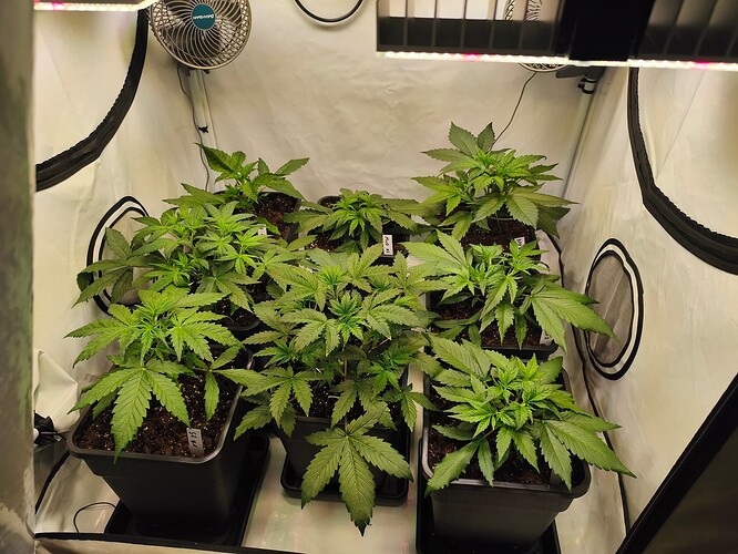 Growreport Bild 7