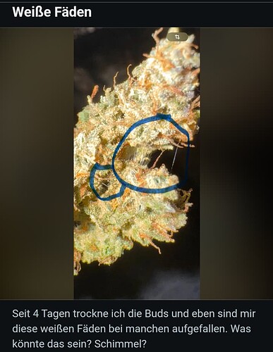 Screenshot_20251027-220903_(1)(1)