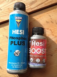 Hesi_BluetenZeugs