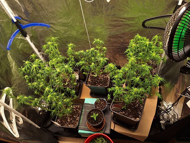 Growreport Bild 12
