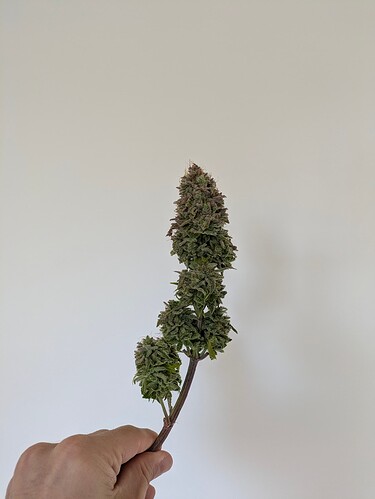 Growreport Bild 4