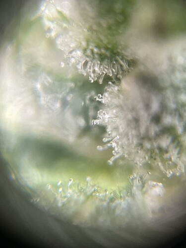 Growreport Bild 13