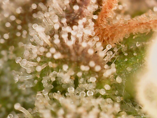 Growreport Bild 15