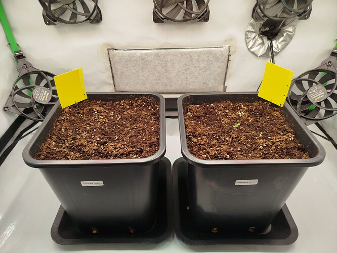 Growreport Bild 2