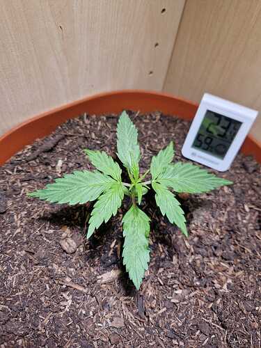 WhatsApp Image 2024-04-29 at 11.00.40