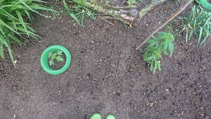 Growreport Bild 12