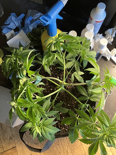 Growreport Bild 2