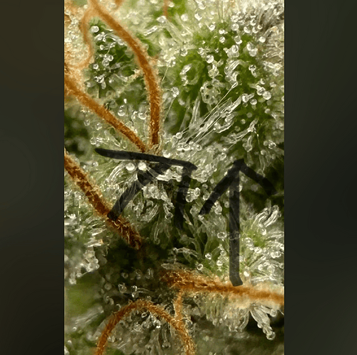 Screenshot_20251026-184234_(1)
